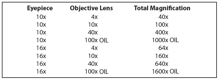 CARSON-MS-160-Biological-Microscope-2