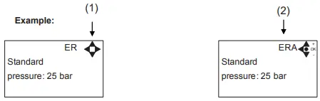 ECOLAB MD421-P Control Panel for Pegasus Units-fig3