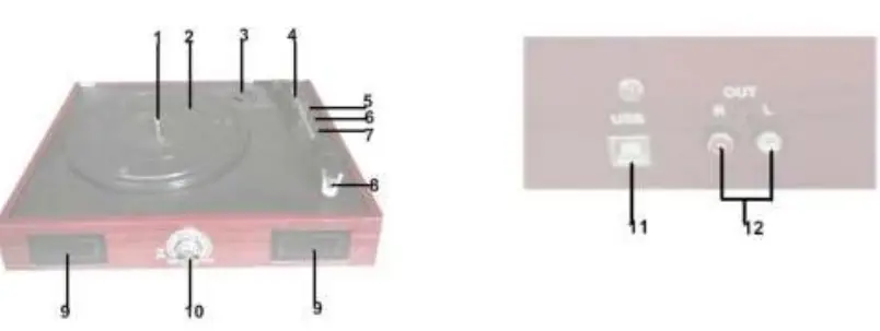 FENTON RP Series Record Player-1