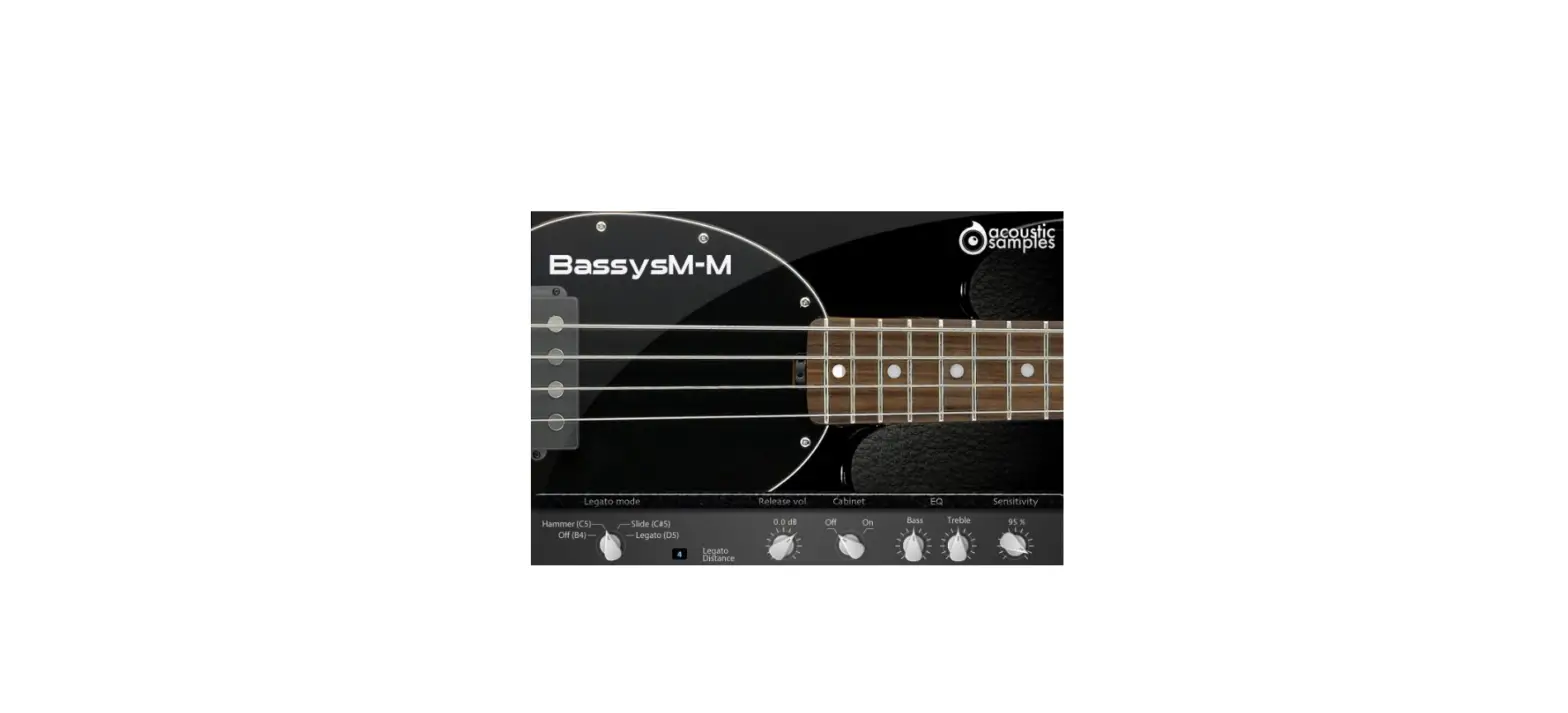 Acoustic Samples Bassysm-m Bassysm User Guide