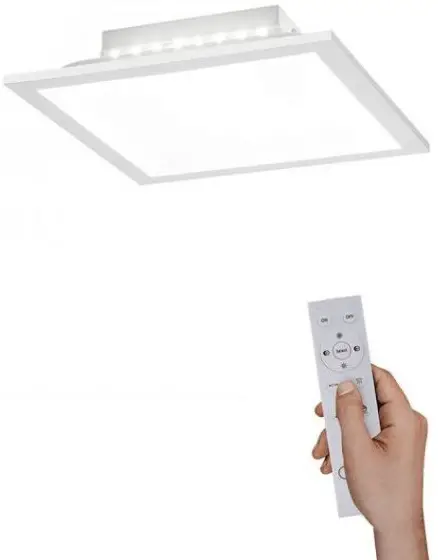 Paul Neuhaus 12100 LED Panel