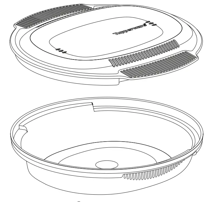 Tupperware L89 Micro Healthy Delight 1