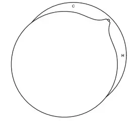 rogerseller 3606013207 Wall Mixer with Outlet - Installation 8