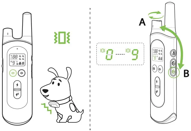 Dongguan Paitege Pet Products TC 20A Dog Training Collar - Figure 10