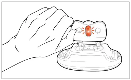 Dongguan Paitege Pet Products TC 20A Dog Training Collar - Figure 12