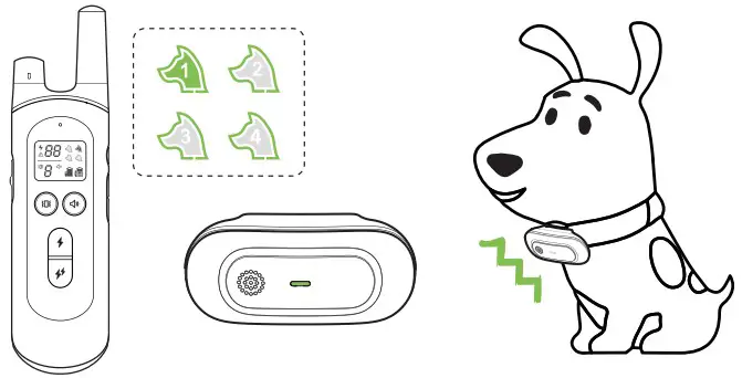 Dongguan Paitege Pet Products TC 20A Dog Training Collar - Figure 17