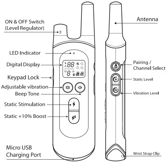 Dongguan Paitege Pet Products TC 20A Dog Training Collar - Figure 2