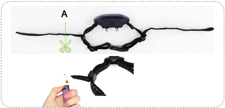 Dongguan Paitege Pet Products TC 20A Dog Training Collar - Figure 20