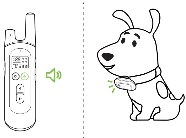 Dongguan Paitege Pet Products TC 20A Dog Training Collar - Figure 9