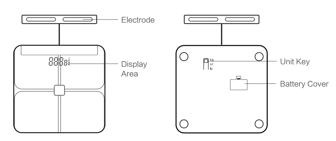 Squamae BCA-381BC Eight Electrodes Body Composition Analyzer - battery Cover