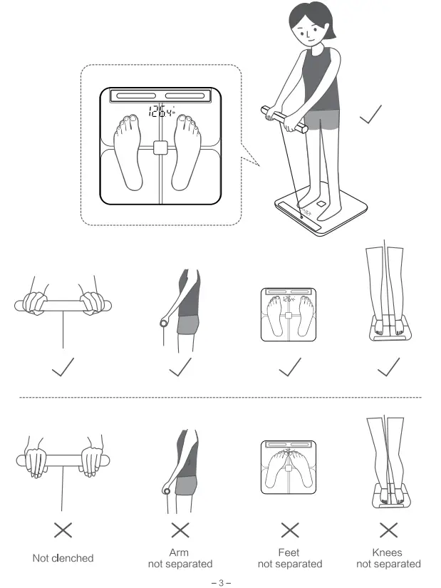 Squamae BCA-381BC Eight Electrodes Body Composition Analyzer - example