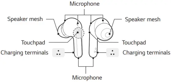Earbuds