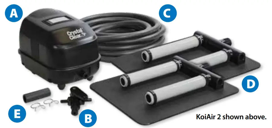 Crystal Clear KoiAir1 &ampGETTING TO KNOW