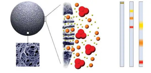 IZON-qEV10-Columns-Isolate-Extracellular-Vesicles-01