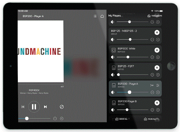 BLUESOUND PROFESSIONAL BSP200 PoE Speaker fig 6