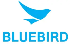 BlueBird LOGO