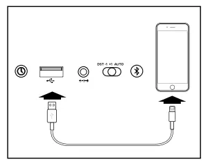 Charging Devices Via USB Port