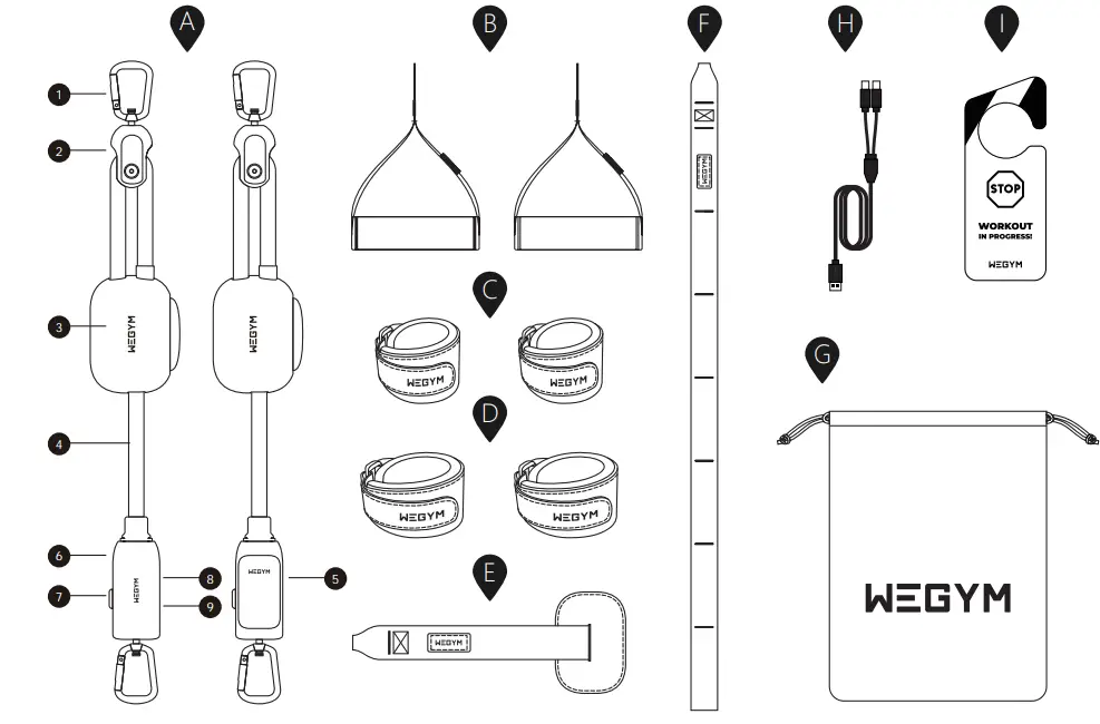 WEGYM Rally X3 Pro Smart Resistance Band -Fig