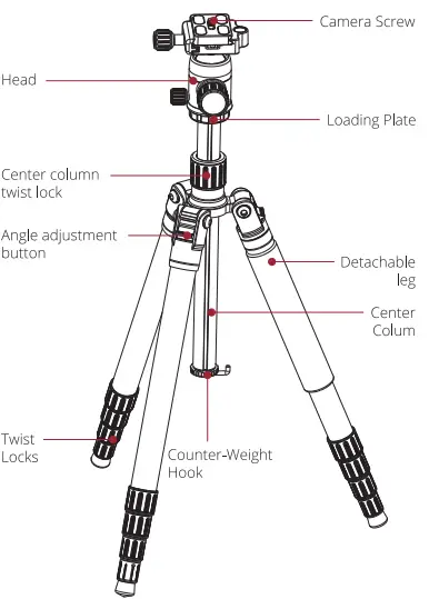 Adorama 3PCFTTH 3POD TREK Series Carbon Fiber Travel Tripod and Ball-FIG2