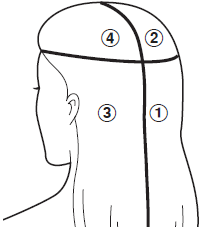 Panasonic-EH-HS99-Hair-Straightener-fig- (10)