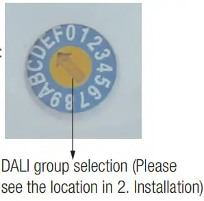 DALI group selection