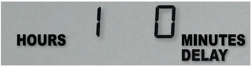 Starting the Indicator