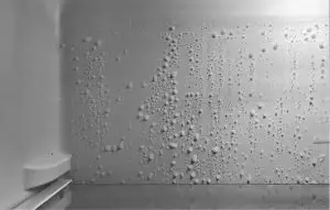 FIG 6 back wall of the fridge