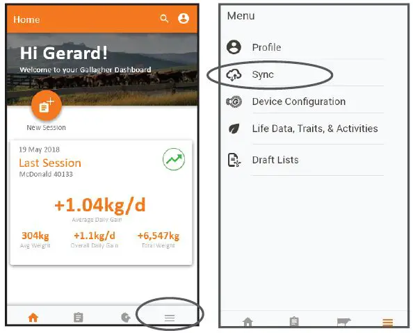 GALLAGHER W-0 Weigh Scale-10