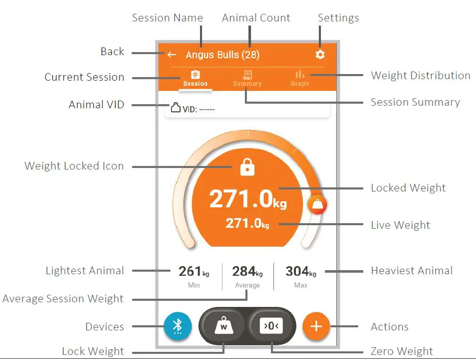 GALLAGHER W-0 Weigh Scale-9