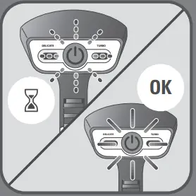 Tefal DT81XX Handheld Steam - stops flashing.