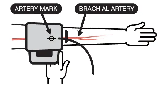 microlife-BP-B3-Basic-Blood-Pressure-Monitor-3