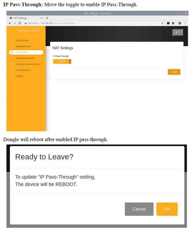 Apal-Tributo-5G-Dongle-wifi-fig23