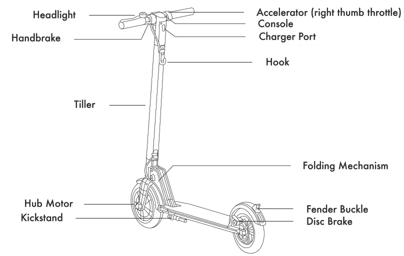 GOTRAX GXL V2 ELECTRIC SCOOTER - fig 3