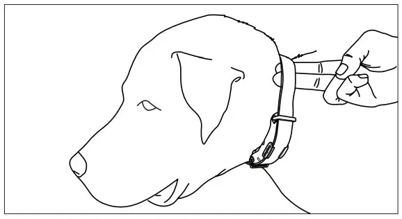 Dogtra 1900S HANDSFREE Ultimate 3 4 Mile Dog Tracking E-Collar - Improper Fit