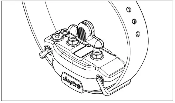 Dogtra 1900S HANDSFREE Ultimate 3 4 Mile Dog Tracking E-Collar - Using the Test Light