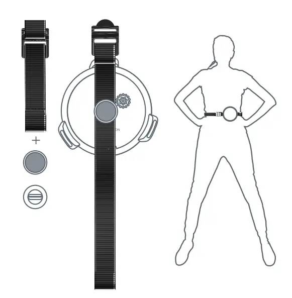 Harness For Body Mounting