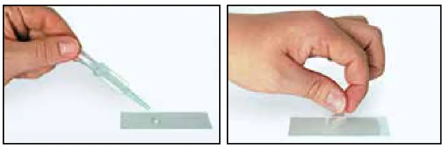 BRESSER 9203300 University Of Oxford Childrens Microscope Set - specimens