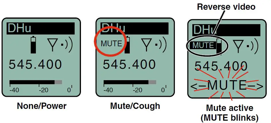 Main Window Displays for Function