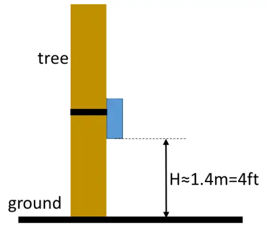 cameratraps UVL4 Black Flash No Glow built-in viewer - fig 16