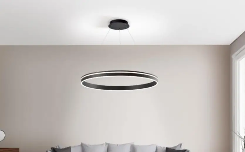 Paul Neuhaus Led Pendant Light, Natural Wood, Cct, Dimmable, Memory, Ip20 Instruction Manual