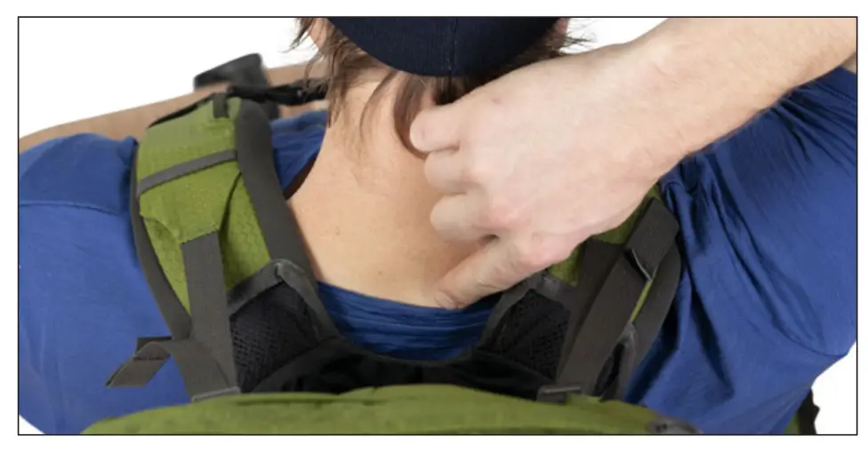 Adjustable Harness (Torso Length)