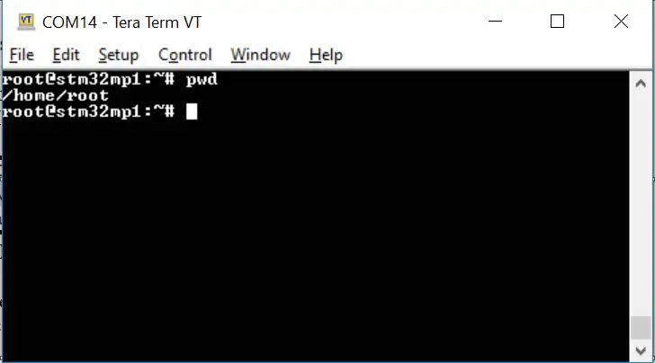 Snapshot of remote terminal via Tera Term