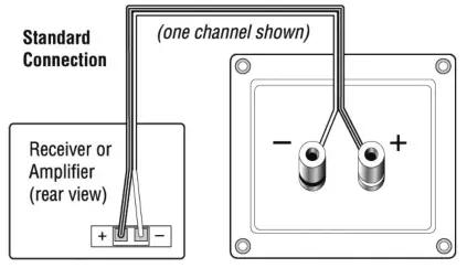 TAGA HARMONY TAGA10018 B 40 V 3 Bookshelf Speaker - Hooking up the wires