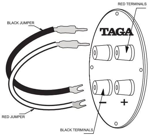 TAGA HARMONY TAGA10018 B 40 V 3 Bookshelf Speaker - tweeter driver 1