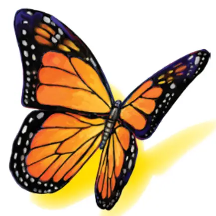 MyEHCS FreeStyle Libre 2 Reader