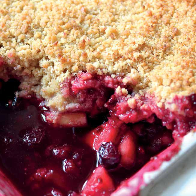 NINJA BL682UK2 Food Processor - BLACKBERRY CRUMBLE