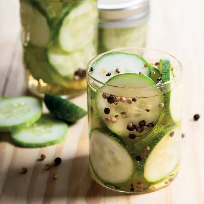 NINJA BL682UK2 Food Processor - PICKLED CUCUMBER