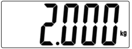 MUNBYN IPS01 Digital Shipping Postal Scale - fig4