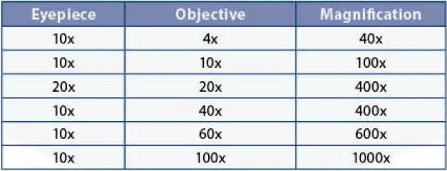 euromex-Blue-Line-Series-Microscopes-Holland-2