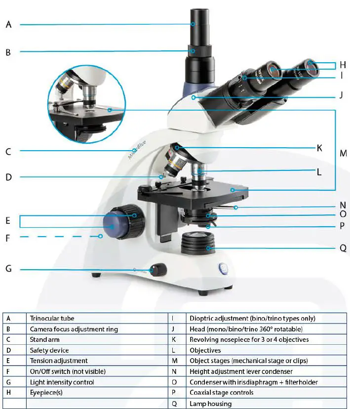 euromex-Blue-Line-Series-Microscopes-Holland-3
